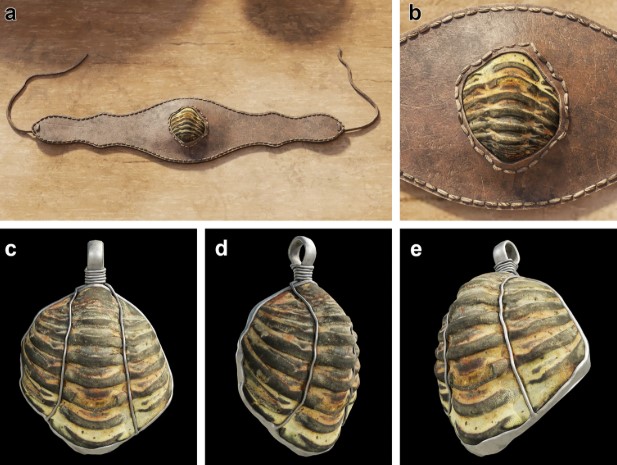 Roman trilobite fossil mounted on jewelry